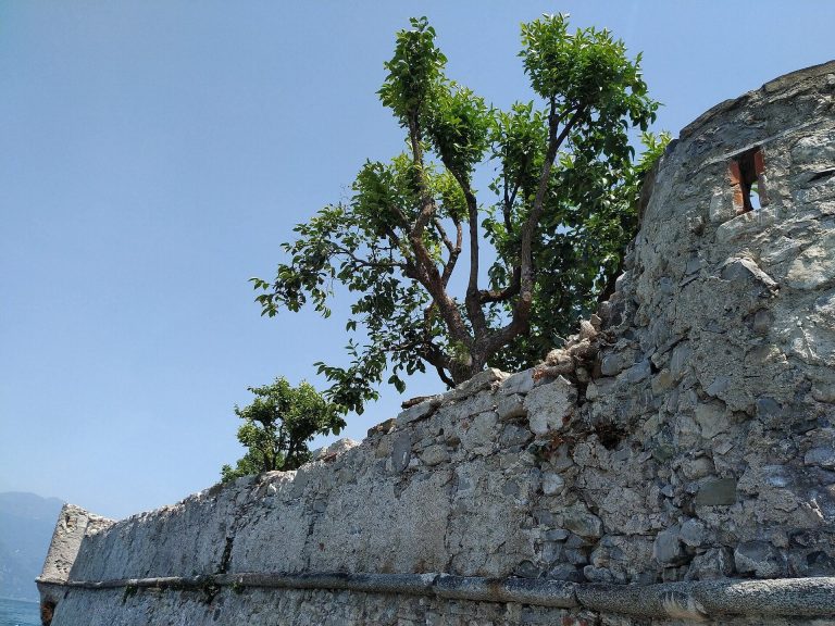 Lierna Castle: A Medieval Fortification on Lake Como