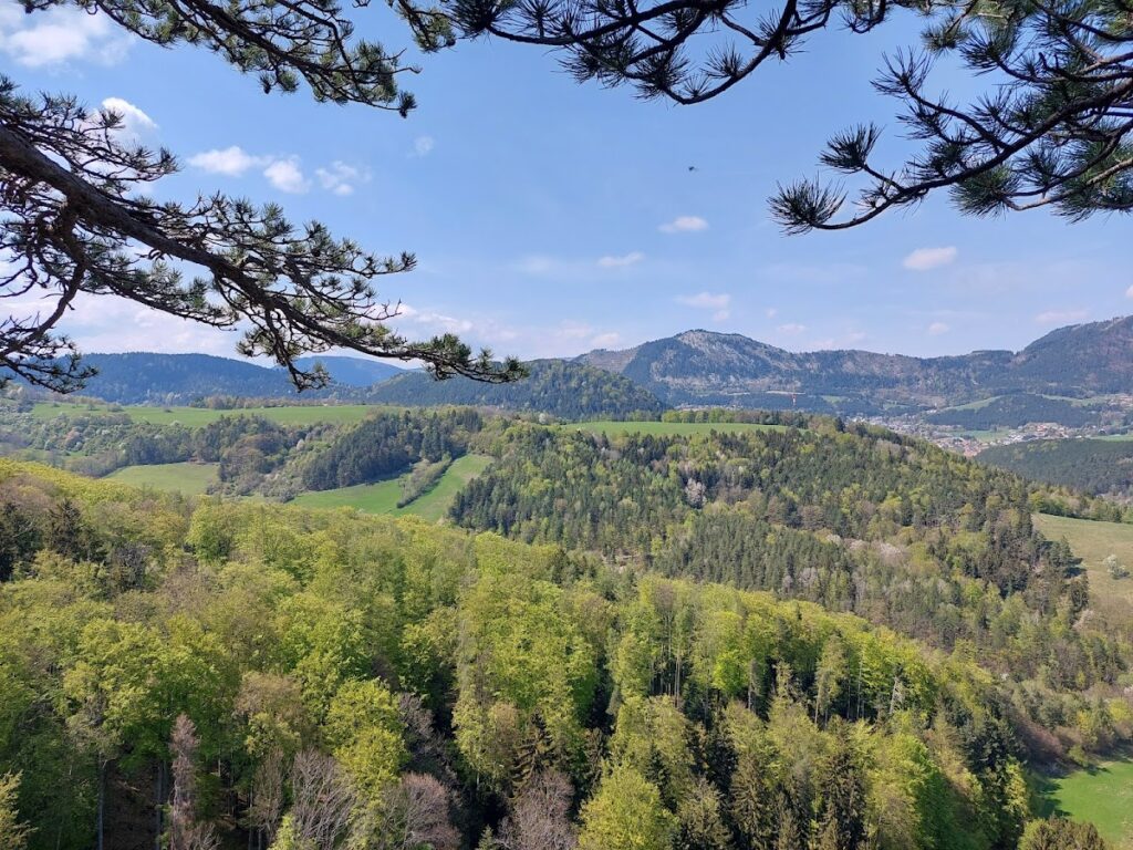 Schrattenstein Castle Ruins: A Medieval Fortress in Austria 8 Schrattenstein castle ruins