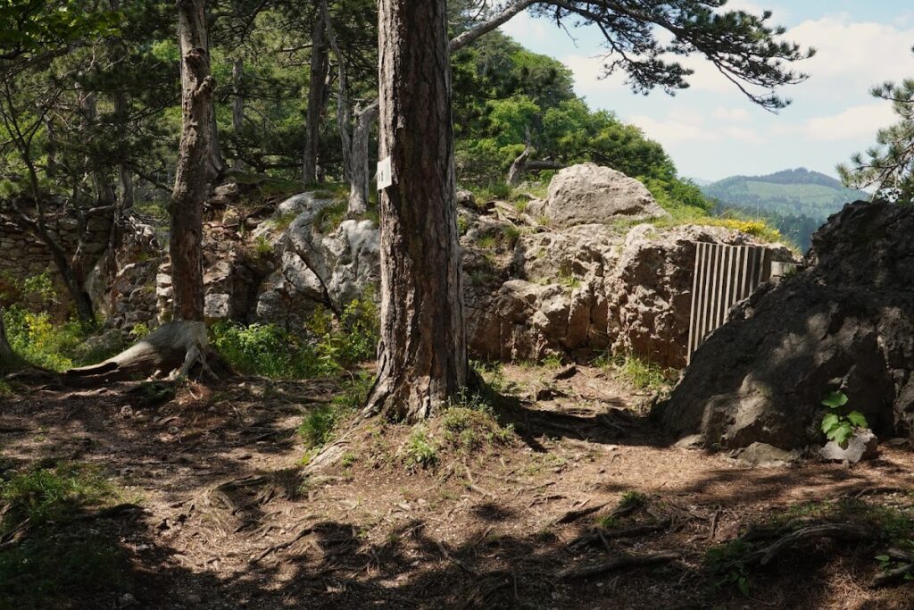 Schrattenstein Castle Ruins: A Medieval Fortress in Austria 10 Schrattenstein castle ruins
