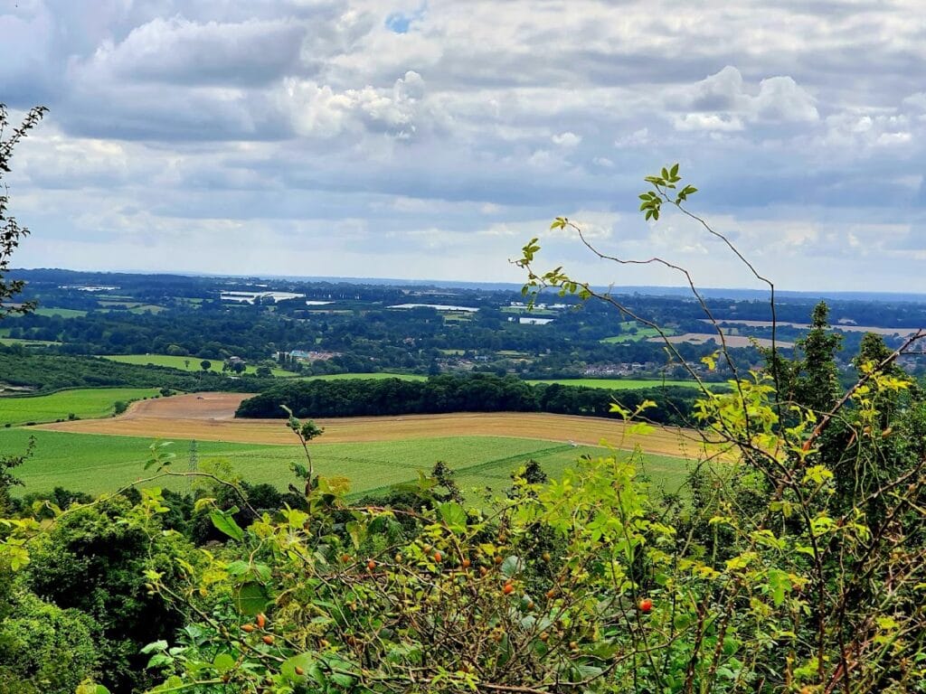 Thurnham Castle: A Medieval Castle Ruin in Kent 4 Thurnham Castle