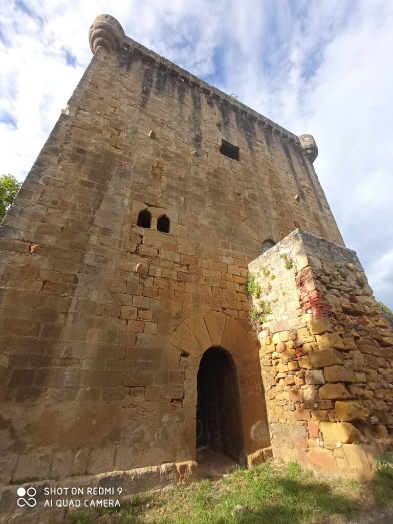Martiartu Tower