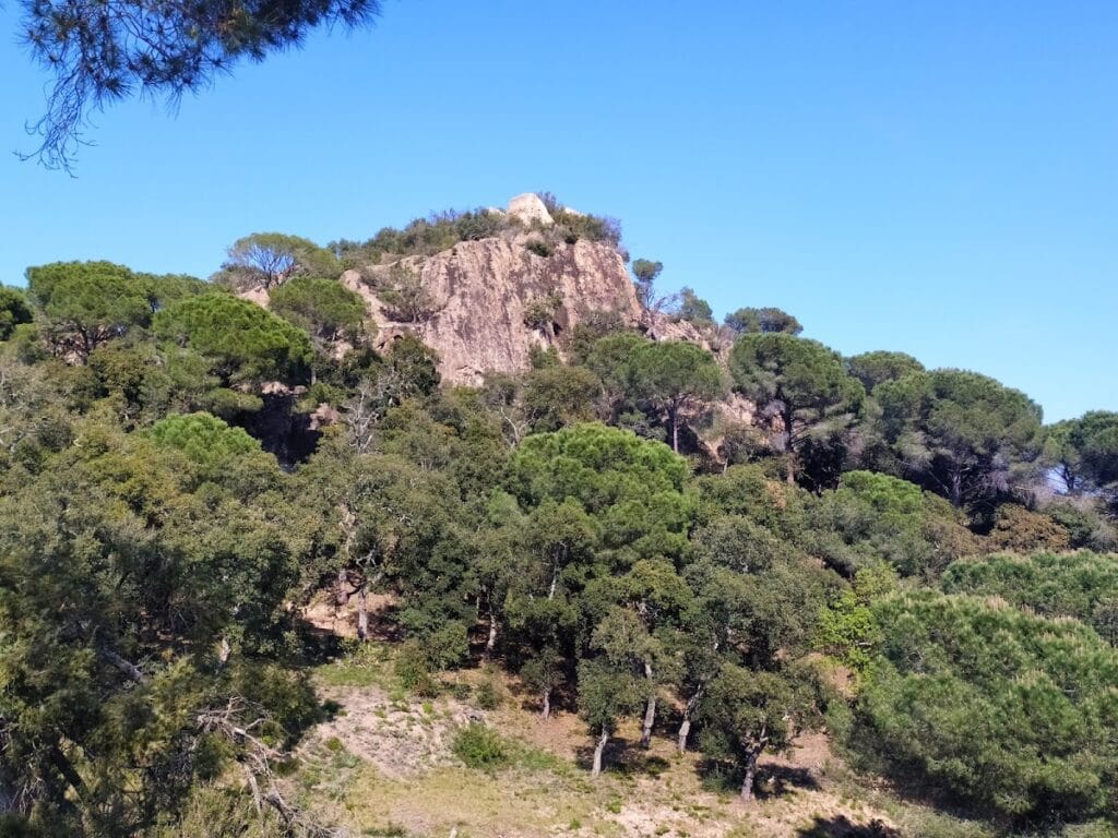 Castell de Solius: A Medieval Fortification in Catalonia 4 Castell de Solius