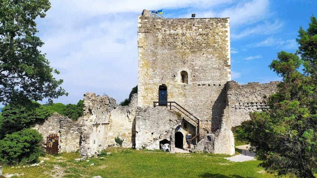 Rochefort-en-Valdaine Castle: A Medieval Fortified Residence in France 2 Chateau de Rochefort-en-Valdaine