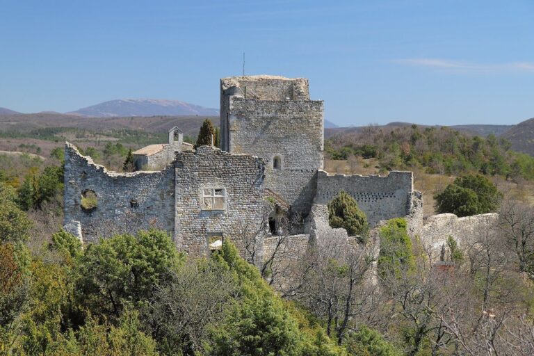 Rochefort-en-Valdaine Castle: A Medieval Fortified Residence in France