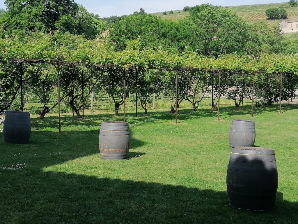 Château de Chasselas: A Historic Castle and Vineyard in France 10 Château de Chasselas