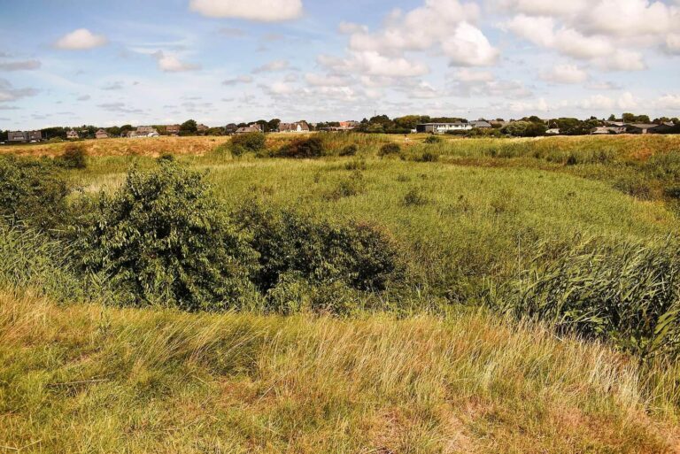 Tinnumburg: A Germanic Ringwall Fortification on Sylt
