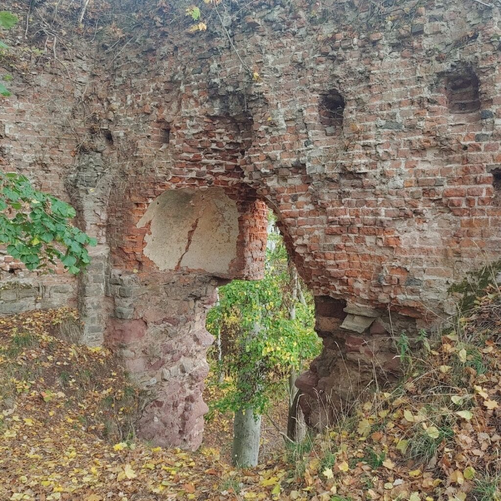 Grillenburg: A Ruined Medieval Lowland Castle in Germany 2 Grillenburg