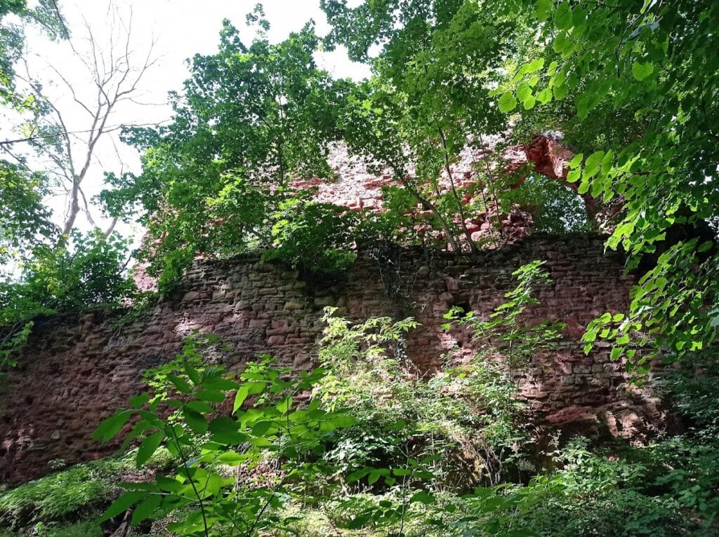 Grillenburg: A Ruined Medieval Lowland Castle in Germany 4 Grillenburg