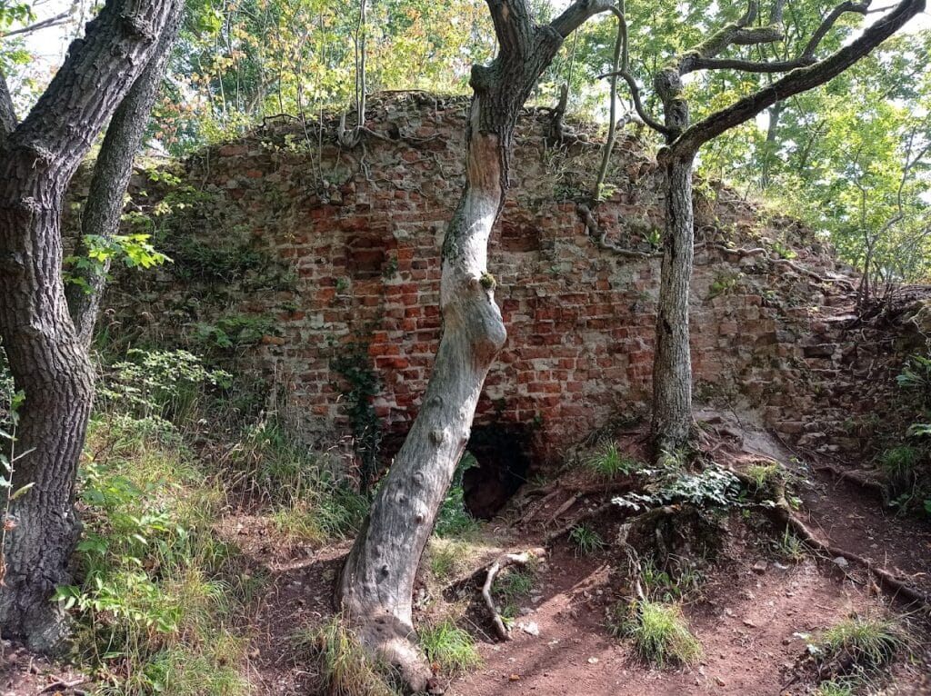 Grillenburg: A Ruined Medieval Lowland Castle in Germany 5 Grillenburg