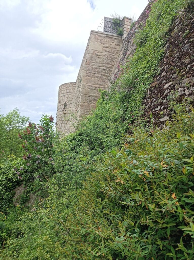 Château de Mortagne-sur-Sèvre: A Medieval Fortress in France 5 Château de Mortagne-sur-Sèvre
