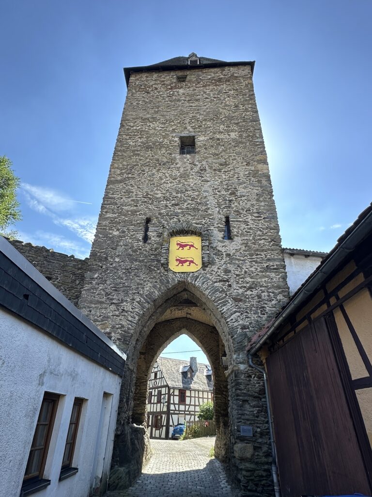 Burg Altweilnau