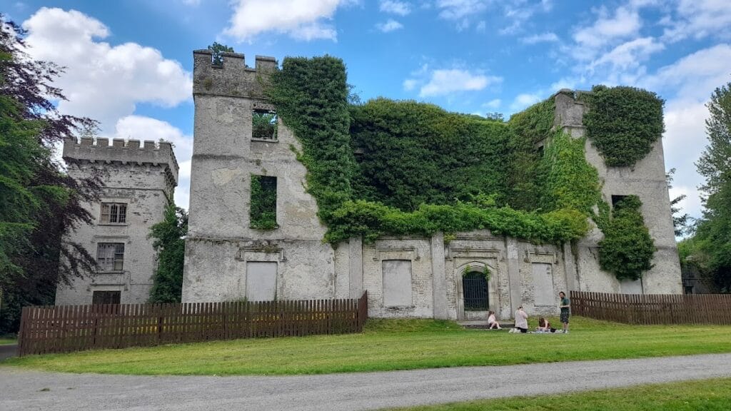 Donadea Castle: A Historic Site in County Kildare, Ireland 6 Donadea Castle