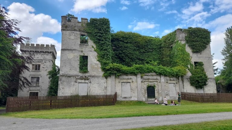 Donadea Castle: A Historic Site in County Kildare, Ireland