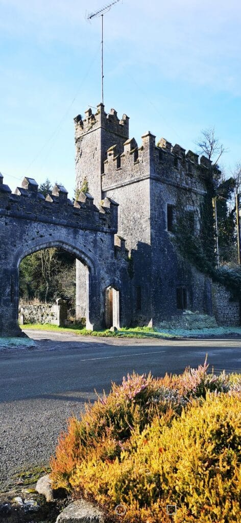 Donadea Castle: A Historic Site in County Kildare, Ireland 8 Donadea Castle