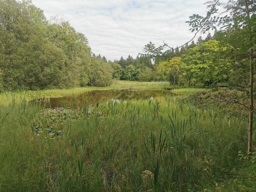 Donadea Castle: A Historic Site in County Kildare, Ireland 9 Donadea Castle