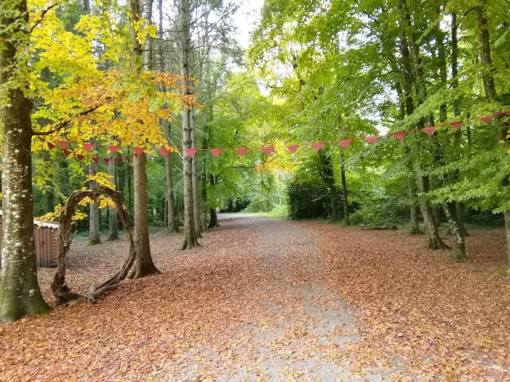 Donadea Castle: A Historic Site in County Kildare, Ireland 10 Donadea Castle