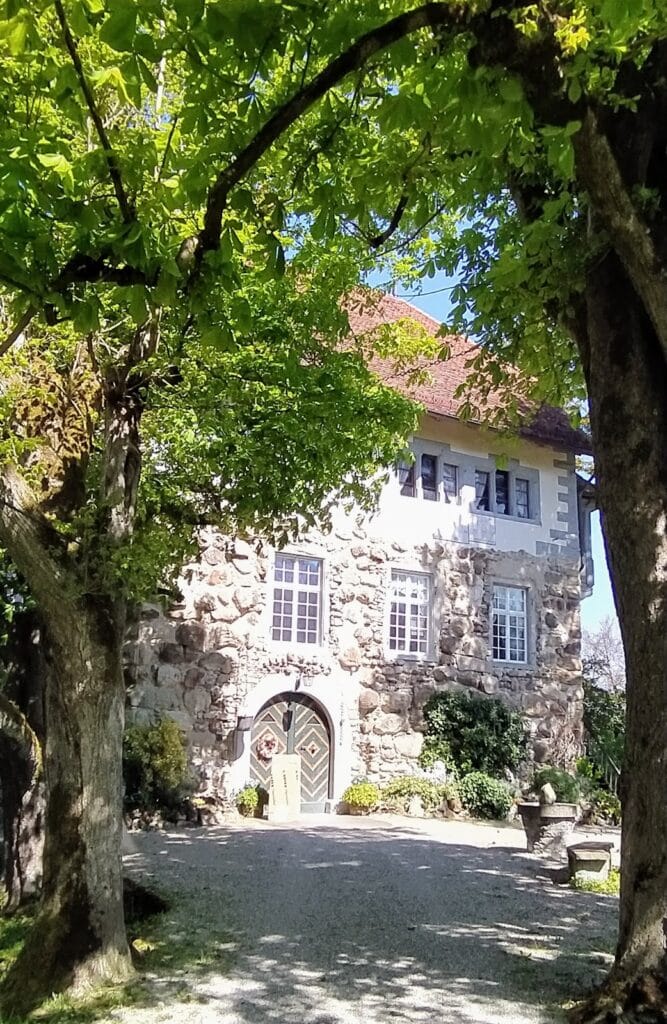 Wellenberg Castle: A Medieval Fortress near Frauenfeld, Switzerland 7 Wellenberg Castle