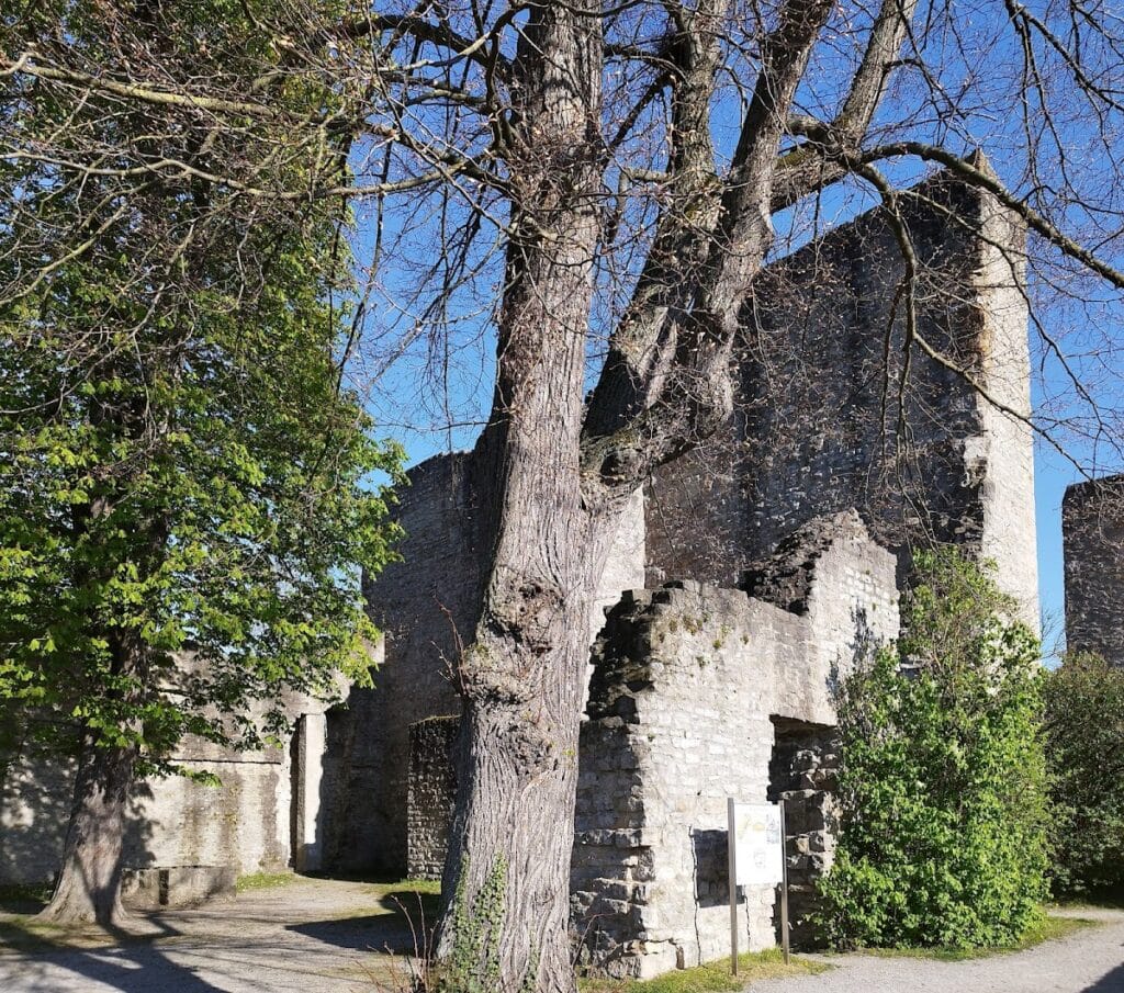 Castle Hofen: A Medieval Castle Ruin in Stuttgart, Germany 2 Castle Hofen