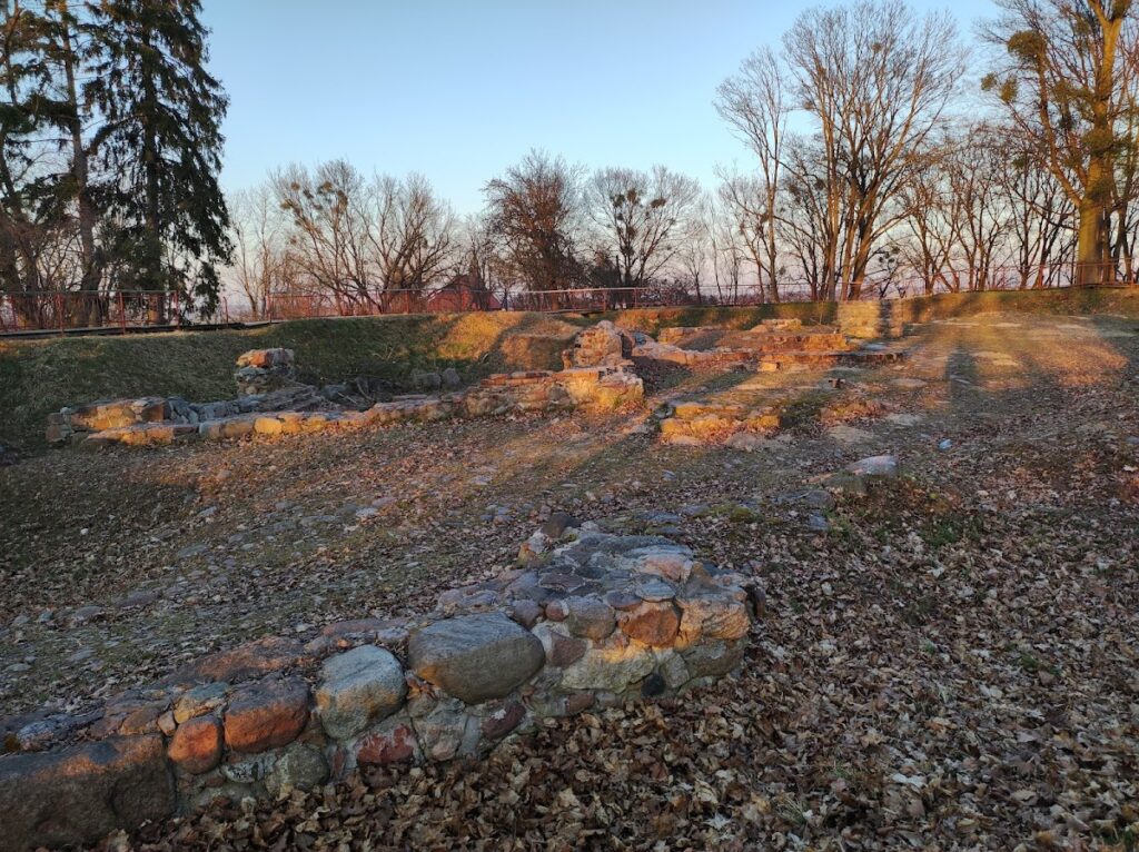 Castle in Dzierzgoń