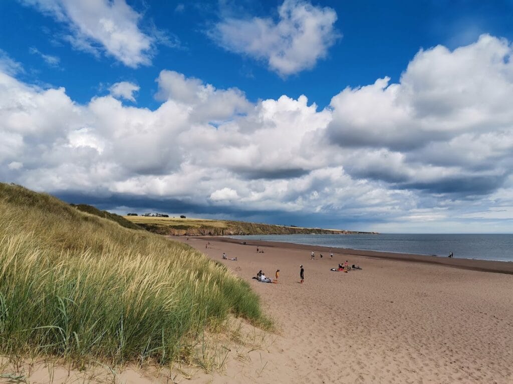 Red Castle, Angus: A Ruined Fortified House on the Scottish Coast 4 Red Castle, Angus
