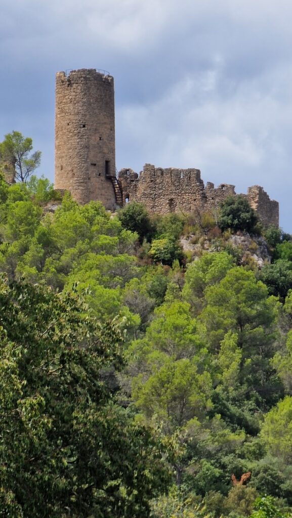 Castell de les Escaules