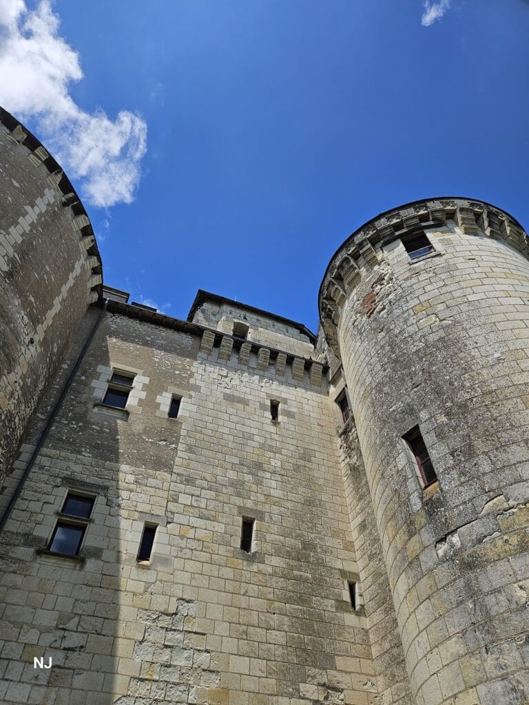 Château de la Guerche: A Historic Castle in France 3 Château de la Guerche