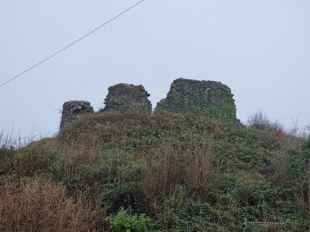 Plympton Castle: A Norman Fortress in Plymouth, United Kingdom 9 Plympton Castle