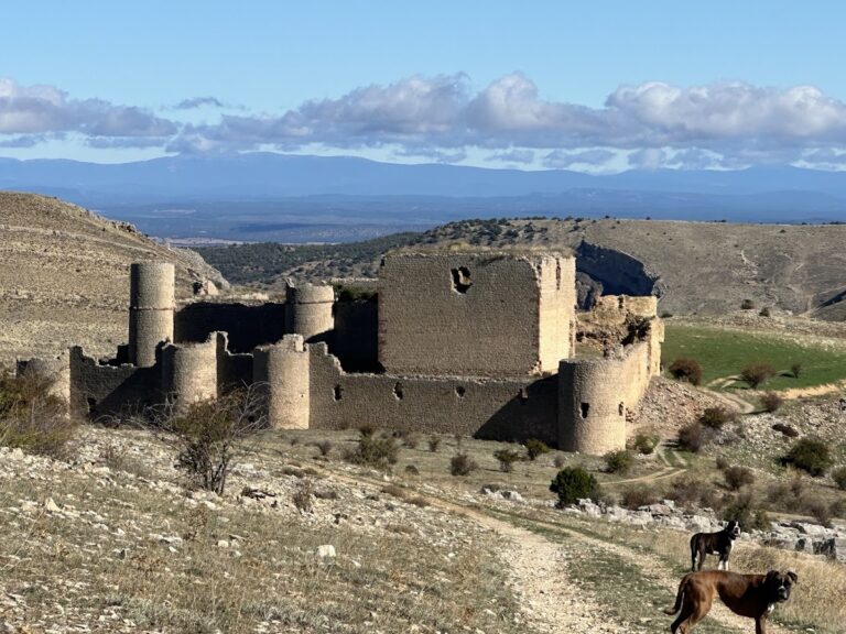 Castle of Caracena: A Medieval Fortress in Spain