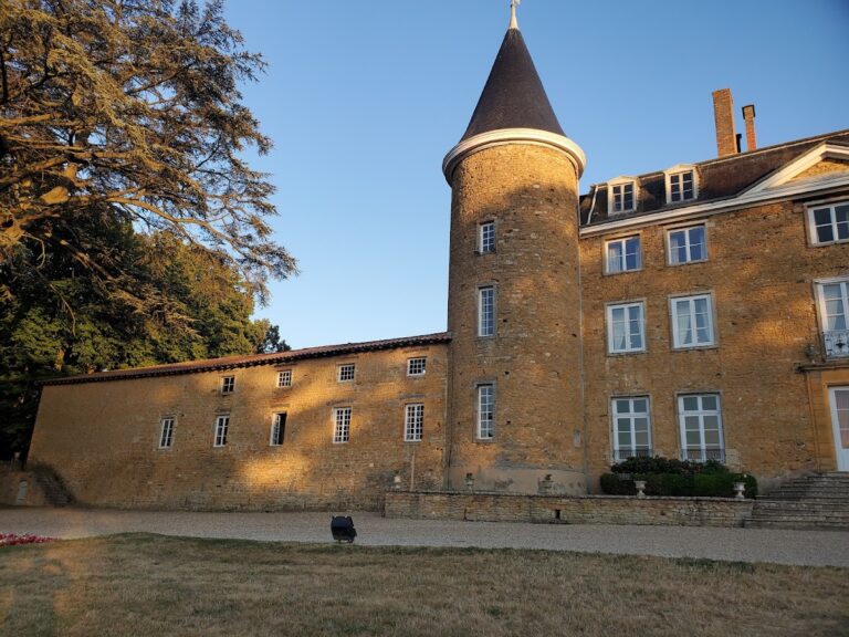 Château de Janzé: A Historic Medieval and Early Modern Estate in France