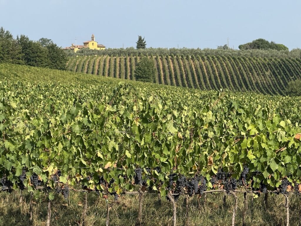 Castello di Gabbiano