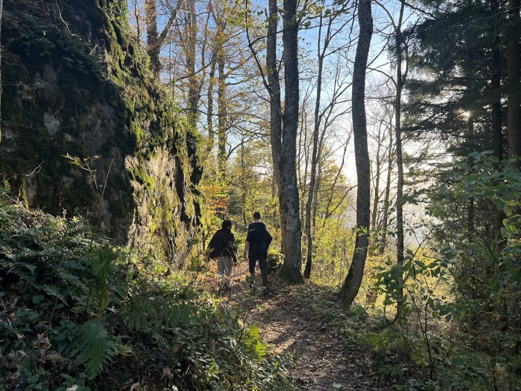 Burgstelle Kybfelsen: A Medieval Castle Site in Freiburg im Breisgau 8 Burgstelle Kybfelsen