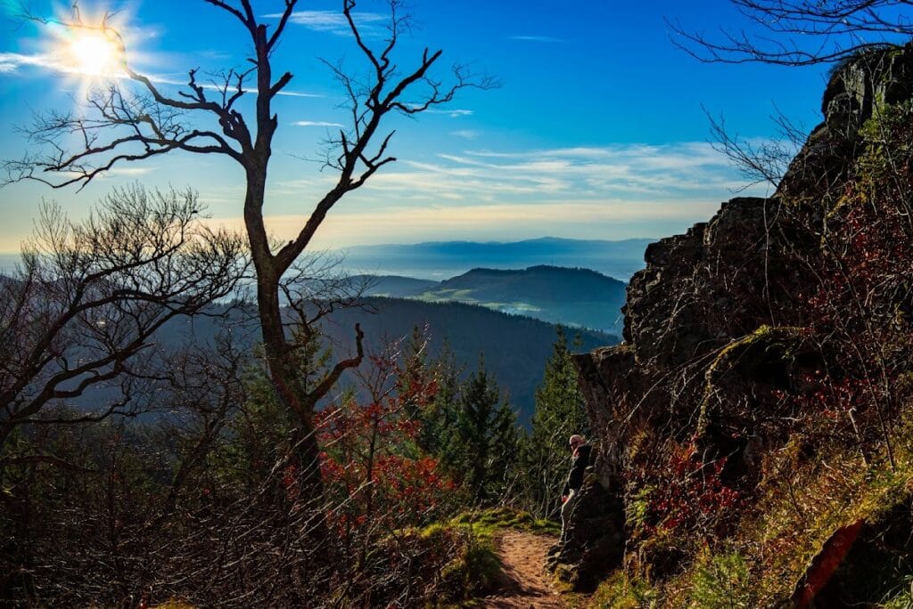 Burgstelle Kybfelsen: A Medieval Castle Site in Freiburg im Breisgau 9 Burgstelle Kybfelsen