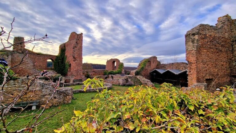 Burg Montfort: A Medieval Castle in Hallgarten, Germany