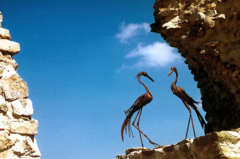 Burg Reinsberg: A Medieval Castle Ruin in Austria