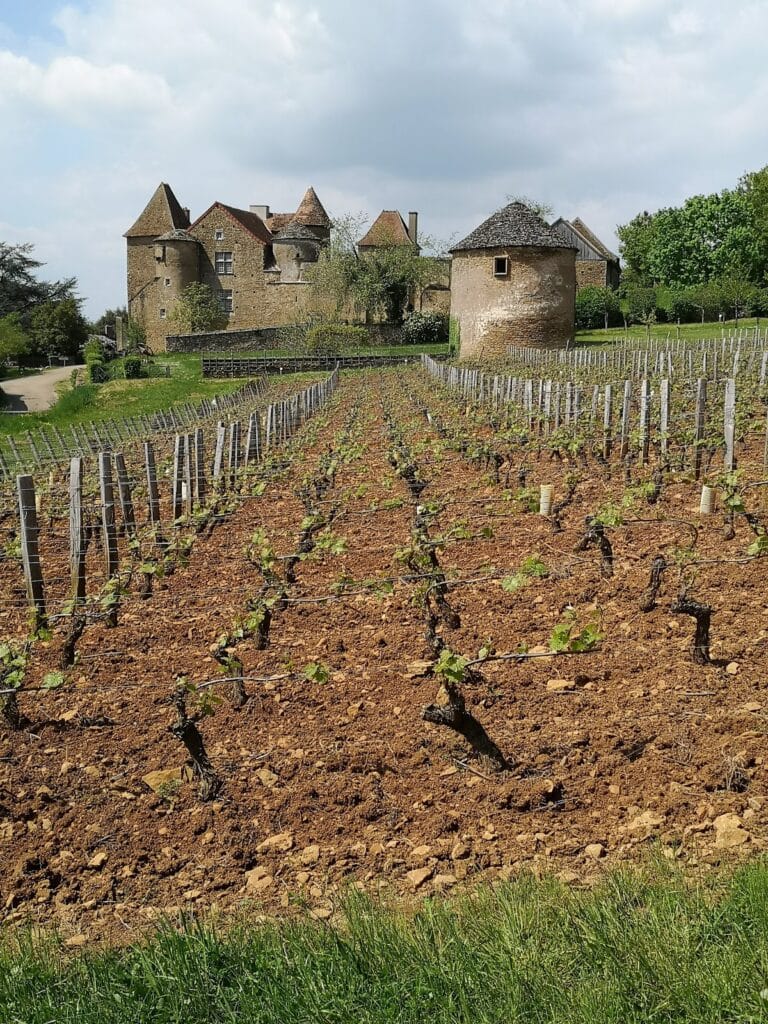 Château de Bissy-sur-Fley: A Historic Residence in France 2 Château de Bissy-sur-Fley