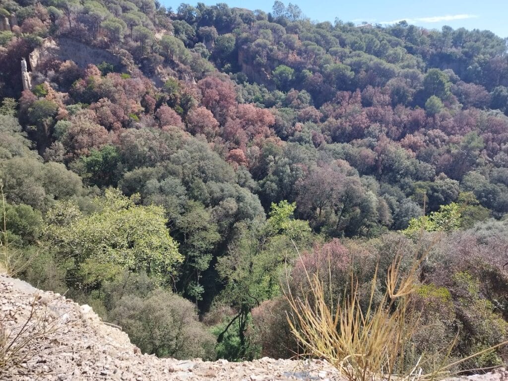 Montclús Castle: Frontier Fortress and Seat of the Barony of Montclús 4 Montclús Castle