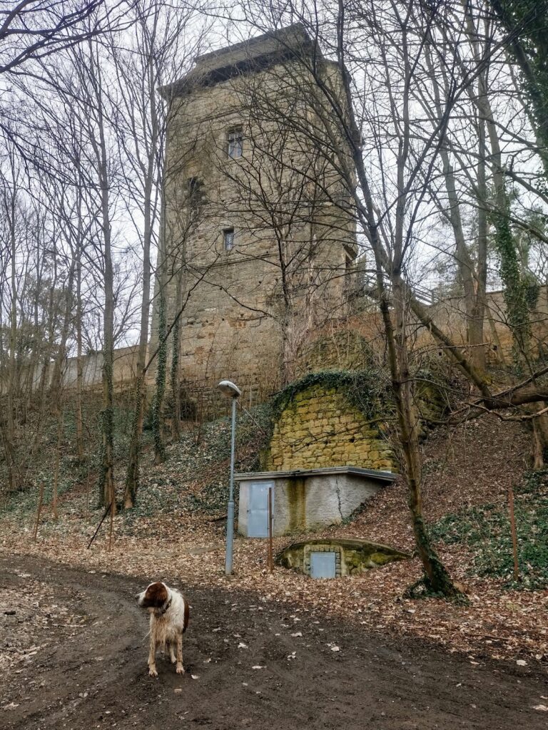 Tuchoraz Castle: A Medieval Fortress and Noble Residence in the Czech Republic 8 Tuchoraz castel