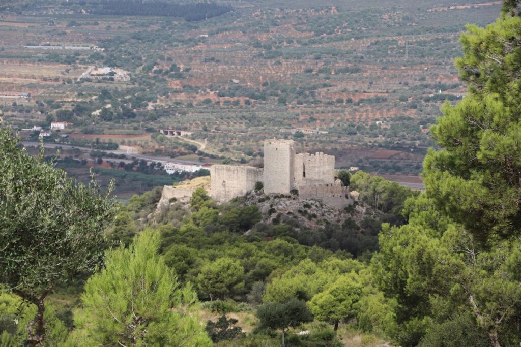Polpís Castle: A Historic Fortress in Santa Magdalena de Polpís, Spain 7 Polpís Castle