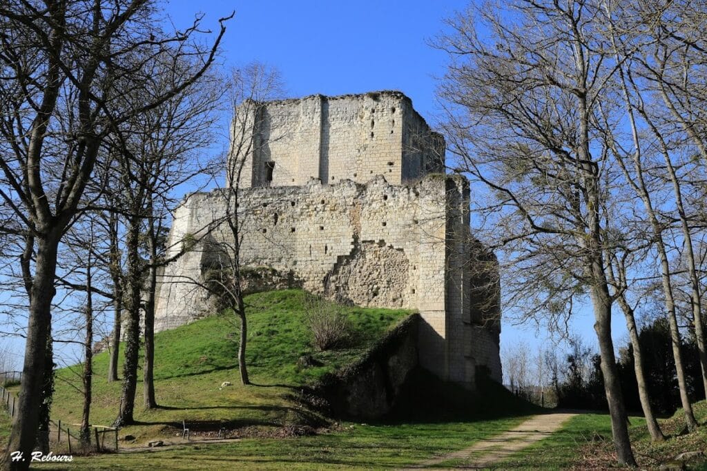 Château de Montrichard: A Medieval Fortified Castle in France 4 Château de Montrichard