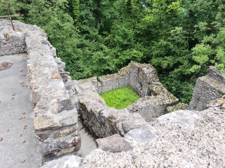 Weissenau Castle: A Medieval Fortress in Unterseen, Switzerland