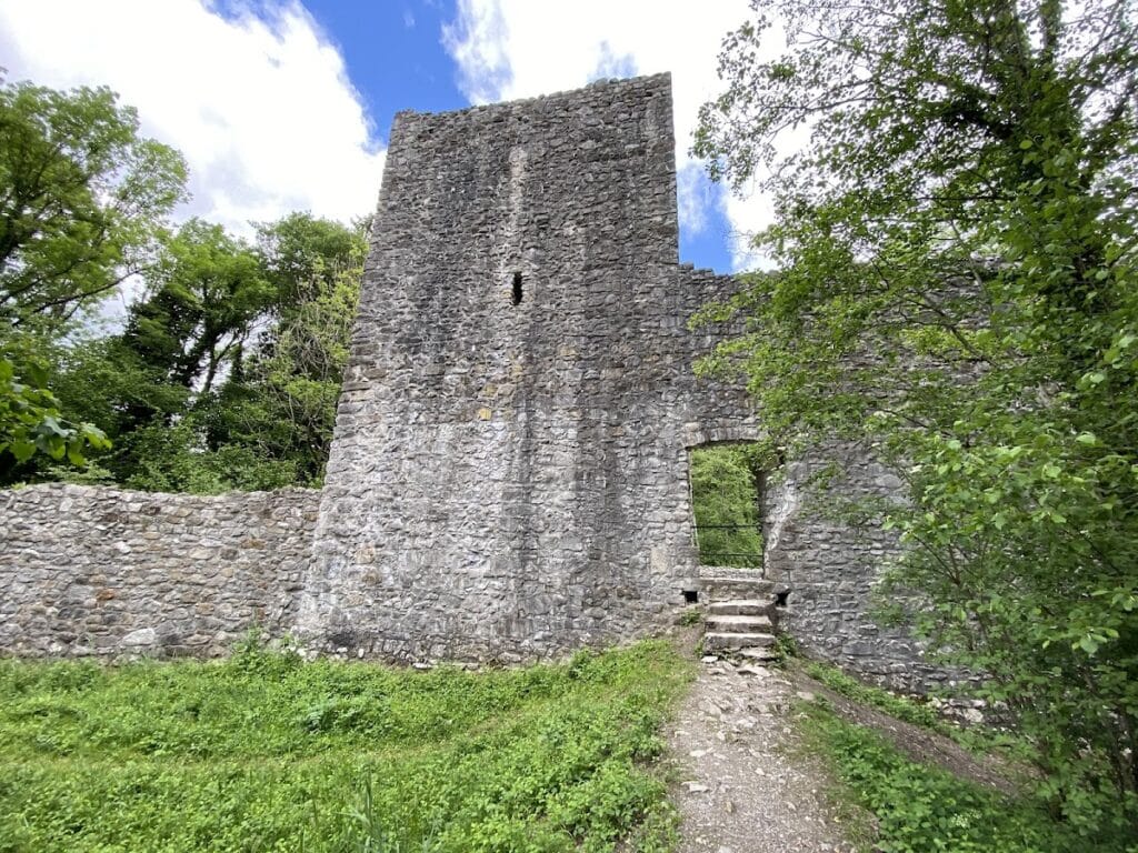 Weissenau Castle: An Imperial Castle in Switzerland 2 Weissenau Castle
