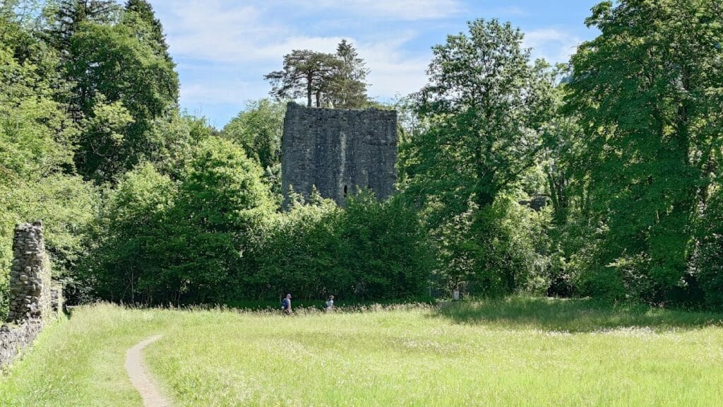 Weissenau Castle: An Imperial Castle in Switzerland 3 Weissenau Castle