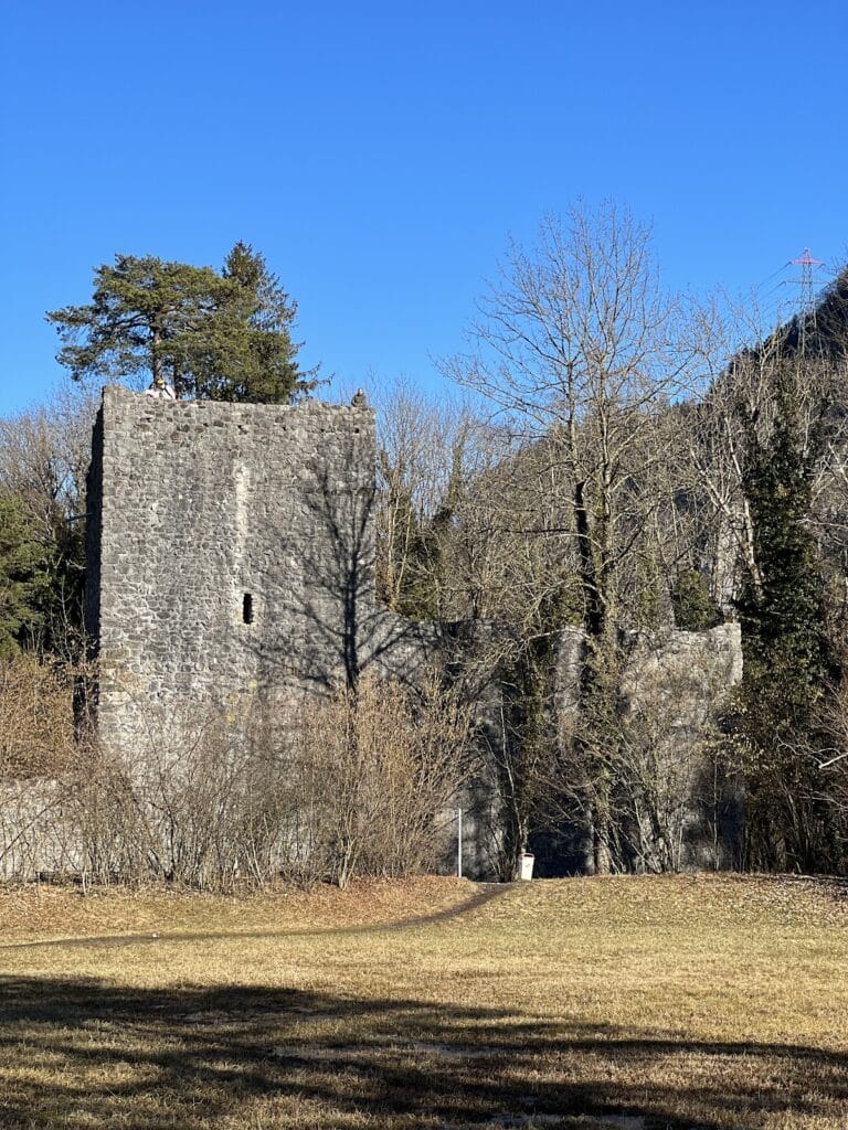 Weissenau Castle: An Imperial Castle in Switzerland 4 Weissenau Castle