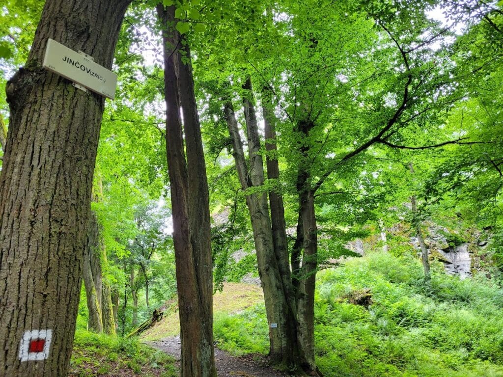 Jenčov Castle: A Small Gothic Royal Hunting Castle in Czechia 5 Jenčov Castle