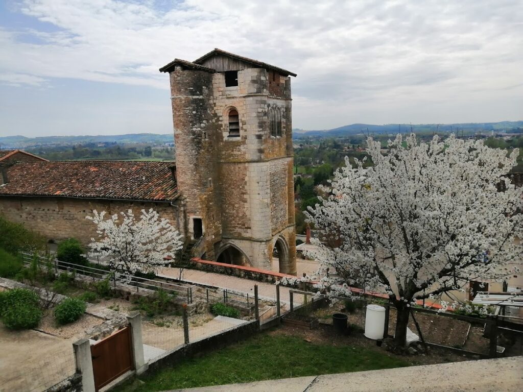 Chateau de Castelnau-de-Lévis