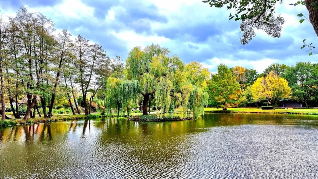 Burg Wildeshausen: A Medieval Castle in Germany 7 Burg Wildeshausen