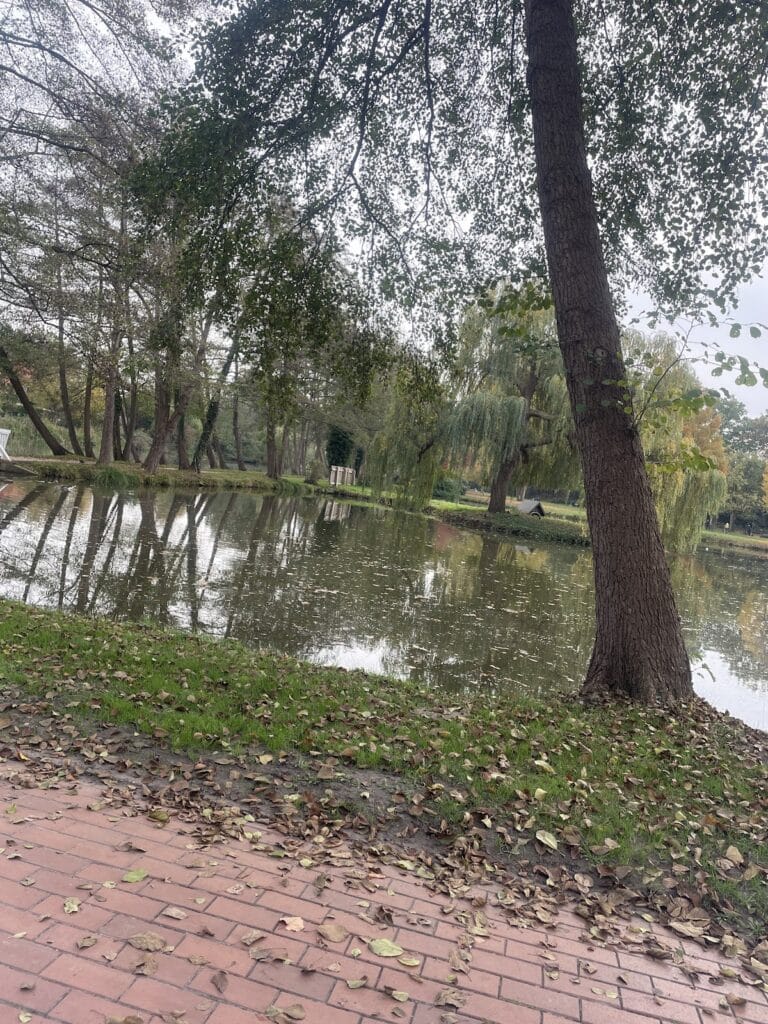 Burg Wildeshausen: A Medieval Castle in Germany 10 Burg Wildeshausen