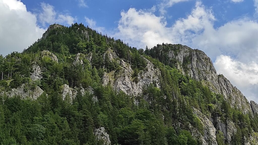 Burgruine Wartenfels: A Medieval Hill Castle in Thalgau, Austria 9 Burgruine Wartenfels