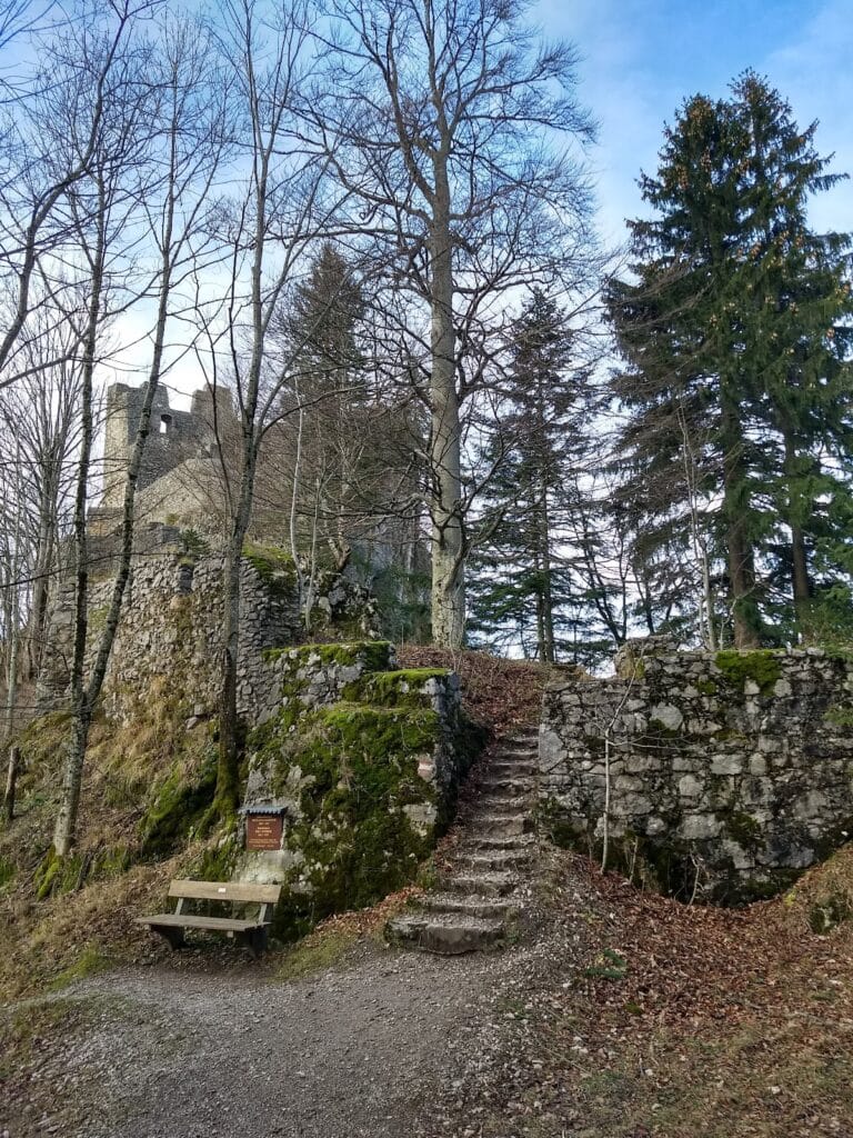 Burgruine Wartenfels: A Medieval Hill Castle in Thalgau, Austria 10 Burgruine Wartenfels