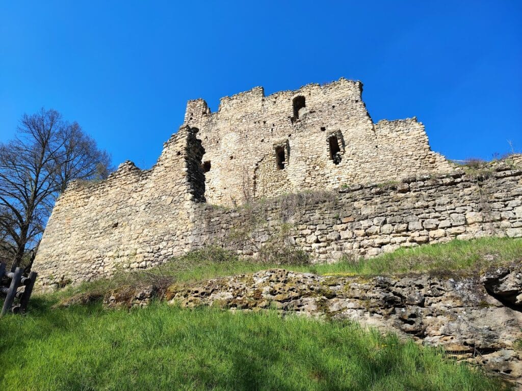 Michalovice Castle: A Medieval Bohemian Castle Ruin 3 Michalovice Castle